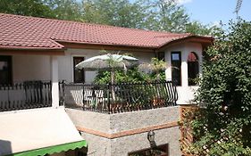 City Garden Boutique